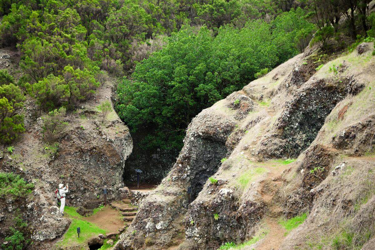 El Hierro. Garoe