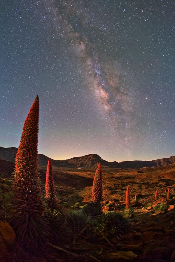 Teide. Tenerife