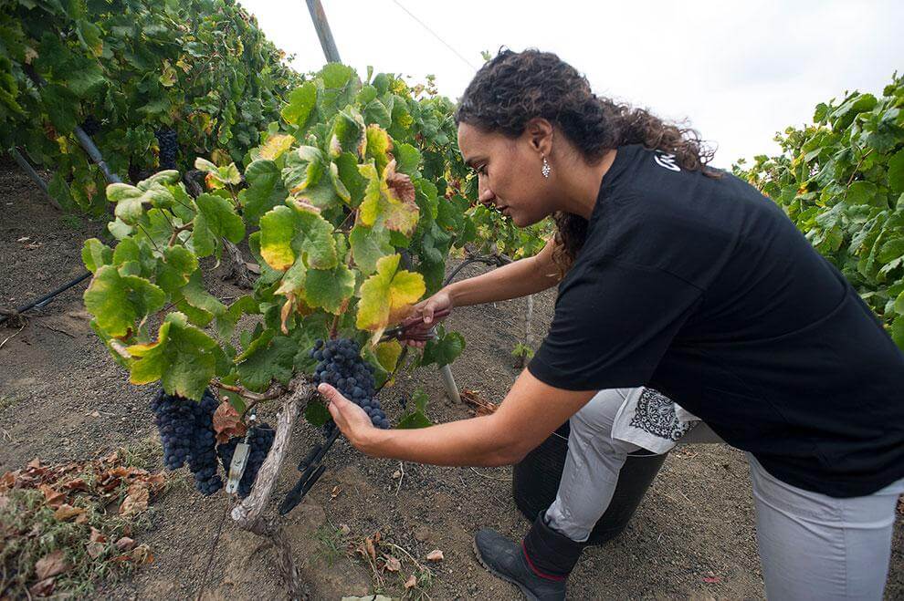 Mujeres del vino Tamara Cruz,