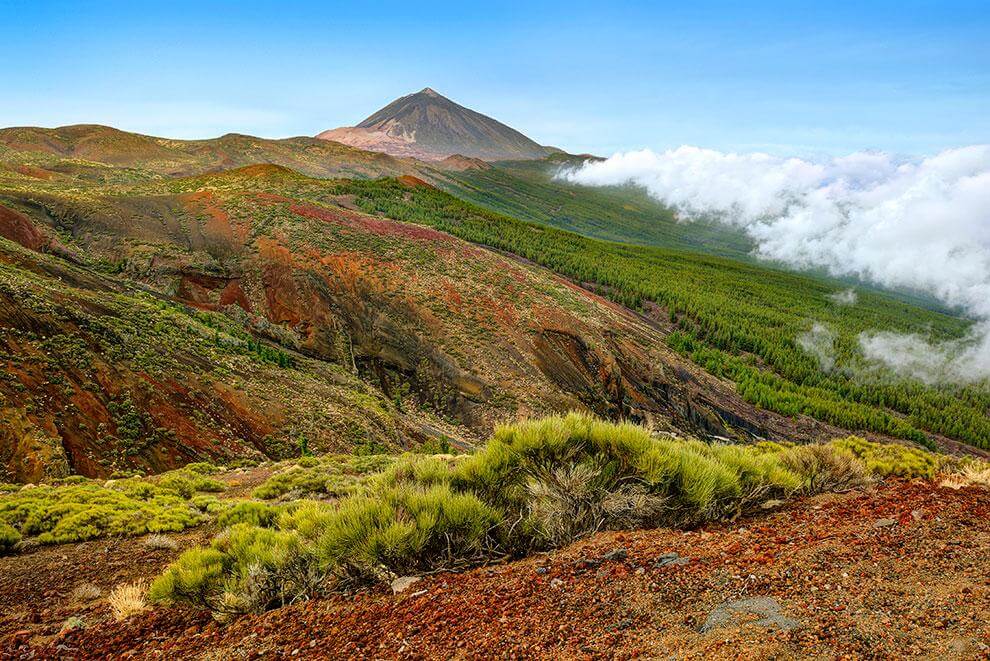 Tenerife. Mirador Chipeque