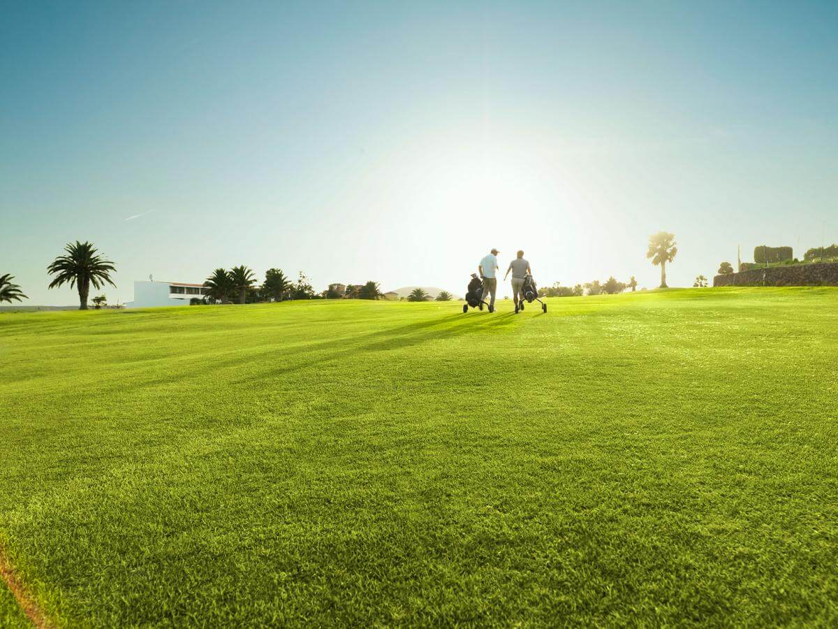 Tenerife. Amarilla Golf