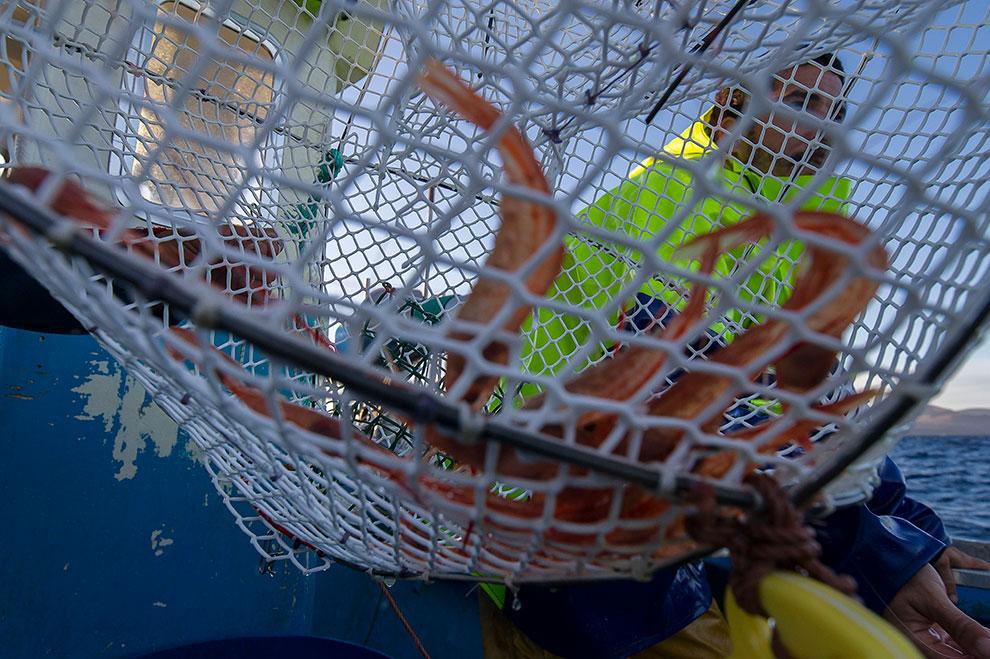 Lanzarote. Pesca del camaron