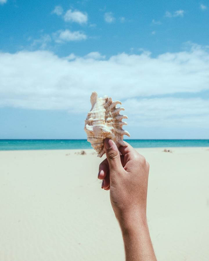 Fuerteventura