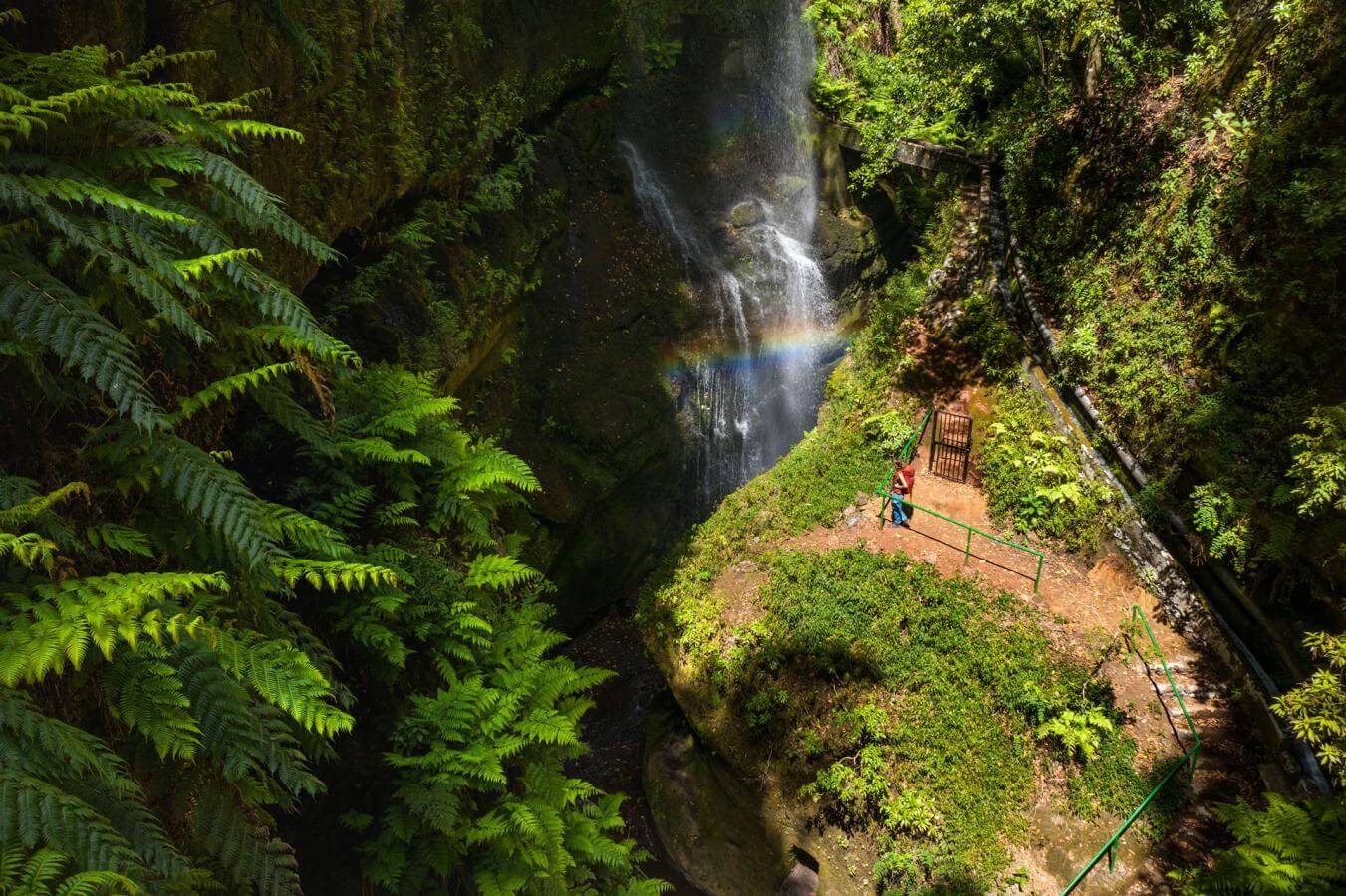 La Palma. Cascada de los Tilos